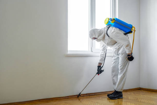 Reliable Yosemite Valley, CA Pest Control Solutions